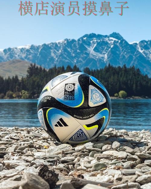 FIFA World Cup 2026背景下的世界杯投注平台精选与数据分析直播解析